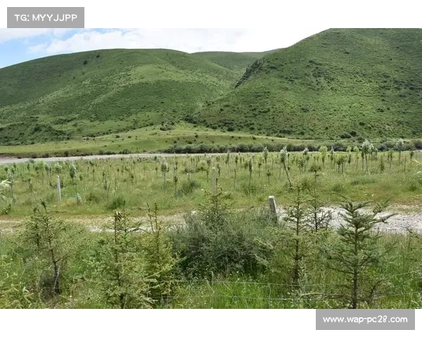 女子环法冠军捐赠赛事奖金支持阿尔卑斯山生态保护倡议助力绿色未来