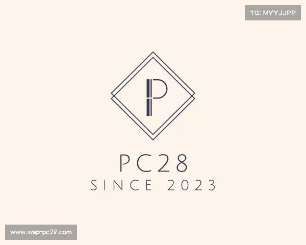 认识pc28